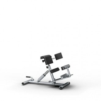 Скамья для гиперэкстензии Proxomed Compass MTT Trunk Trainer Combi в Ростове на Дону