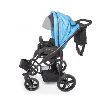 Детская прогулочная коляска ДЦП Liwcare Modi Buggy на раме Rico в Ростове на Дону