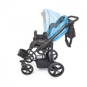 Детская прогулочная коляска ДЦП Liwcare Modi Buggy на раме Rico в Ростове на Дону