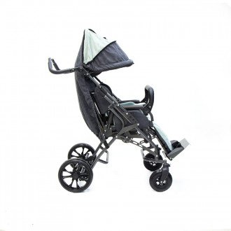 Детская прогулочная коляска ДЦП ЗСО Vita Buggy 7450 в Ростове на Дону