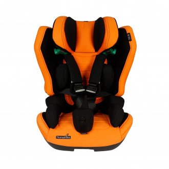 Детское автомобильное кресло ДЦП Thomashilfen RECARO Axion 1 Reha в Ростове на Дону