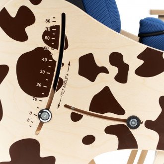 Детская комнатная кресло-коляска Akcesmed Dalmatian Invanto Dt-2 в Ростове на Дону