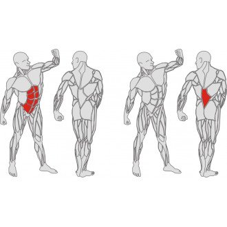 Тренажёр механотерапевтический для мышц пресса и спины Hur Rehabilitation 5310 в Ростове на Дону