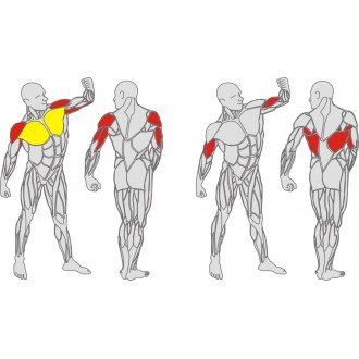 Тренажёр механотерапевтический для мышц груди, спины и рук Hur Rehabilitation 5120 в Ростове на Дону