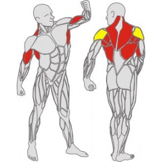 Тренажёр механотерапевтический для рук и спины Hur Rehabilitation 5175 в Ростове на Дону