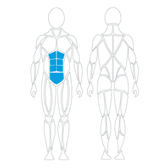 Тренажёр механотерапевтический для пресса David Abdominal Crunch G130 в Ростове на Дону