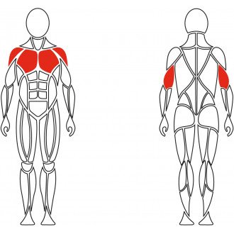 Тренажёр механотерапевтический для мышц груди David Chest Press G510 в Ростове на Дону