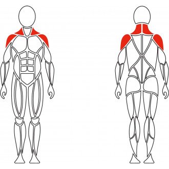Тренажер механотерапевтический David Shoulder Concept F620 разведение рук в стороны в Ростове на Дону